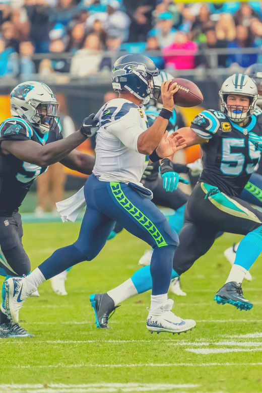 Charlotte: Panthers Football Game at Bank of America Stadium - Venue Highlights