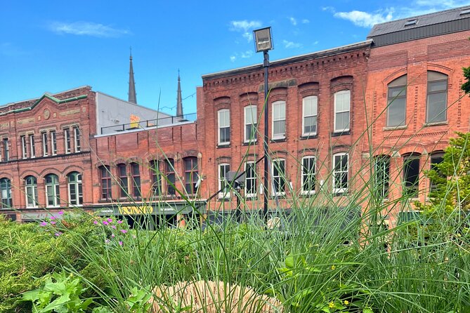 Charlottetown Walking Tour - Victoria Rows Vibrant Atmosphere