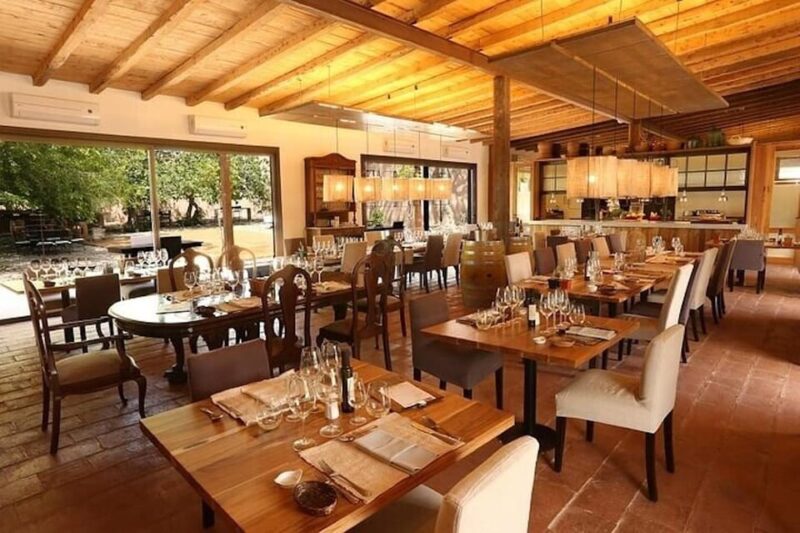 Charms of Mendoza Private Tour 3 Wineries With Paired Lunch - Culinary Experience