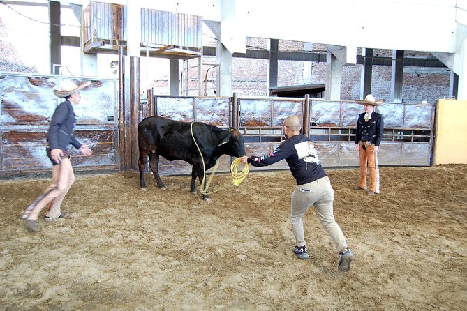 Charreria Heritage Tour: Be a Charro for a Day - Pickup and Meeting Point