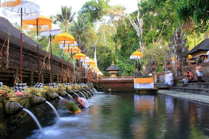 Charter Premier Vehicle With Driver at Bali - 5 Hours Usage - Additional Information