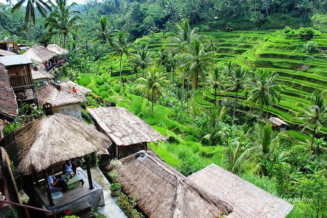 Charter Standard Vehicle with Driver at Bali- 5 Hours Usage - Key Points