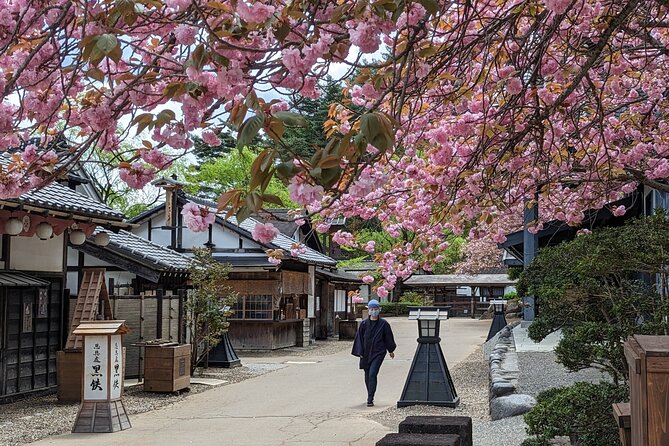 Chartered Private Tour - Tokyo to Nikko, Toshogu, Edo Wonderland - Transportation and Guide