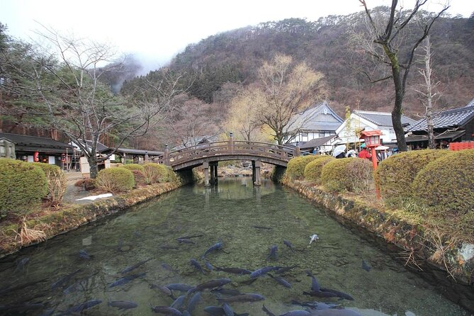 Chartered Private Tour - Tokyo to Nikko, Toshogu, Edo Wonderland - Logistics