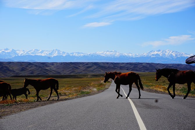 Charyn Canyon + Almaty City Tour in 1 Day - Charyn Canyon Highlights