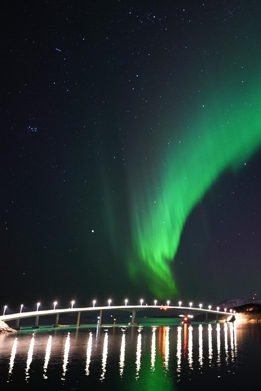 Chase the Magic of the Northern Lights in Tromsø Norway - Key Points