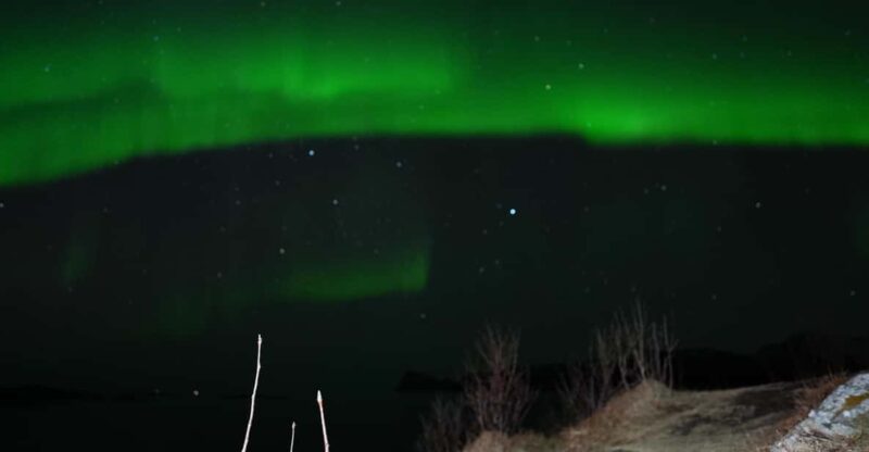 Chase the Magic of the Northern Lights in Tromsø Norway - Experience Highlights