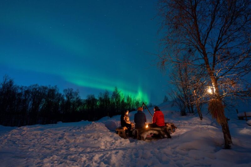 Chasing the Dancing Aurora in Our Winter Camp in Harstad - Key Points