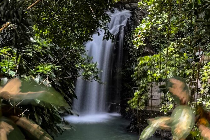 Chasing Waterfalls in Grenada Hike and Adventure Tours - What Makes This Tour a Great Choice?