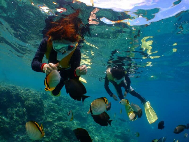 Chatan: Full-Day Snorkeling in Kerama National Park - Key Points