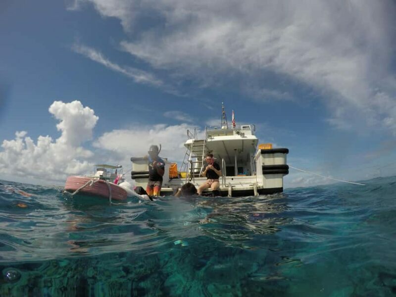 Chatan: Full-Day Snorkeling in Kerama National Park - An In-Depth Look at the Tour Experience