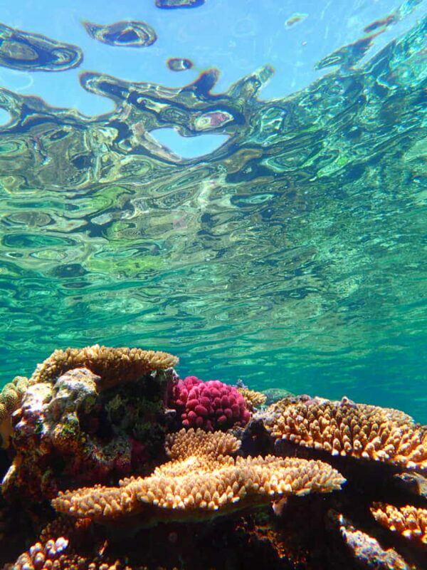 Chatan: Full-Day Snorkeling in Kerama National Park - The Sum Up: Is This Tour Worth It?