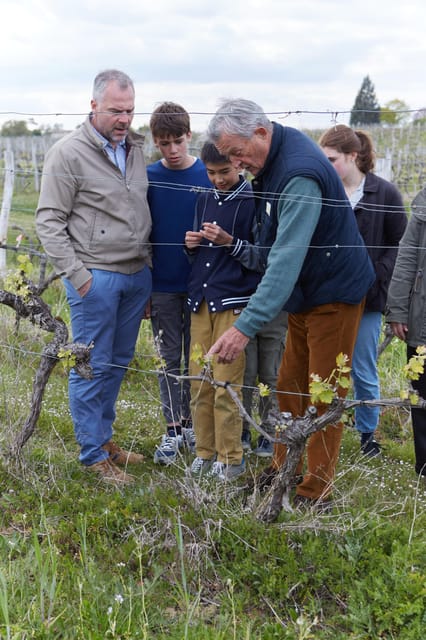 Château Arton Guided Tour and Armagnac Tasting - Key Points
