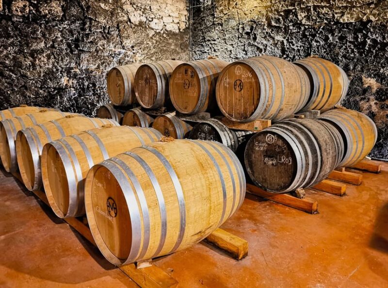 Château Arton Guided Tour and Armagnac Tasting - Customer Feedback and Recommendations