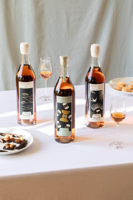 Château Arton Guided Tour and Armagnac Tasting - Exploring the Vineyards and Armagnac Cellar