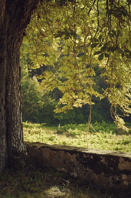 Château Arton Guided Tour and Armagnac Tasting - Understanding the Terroir and Production Process