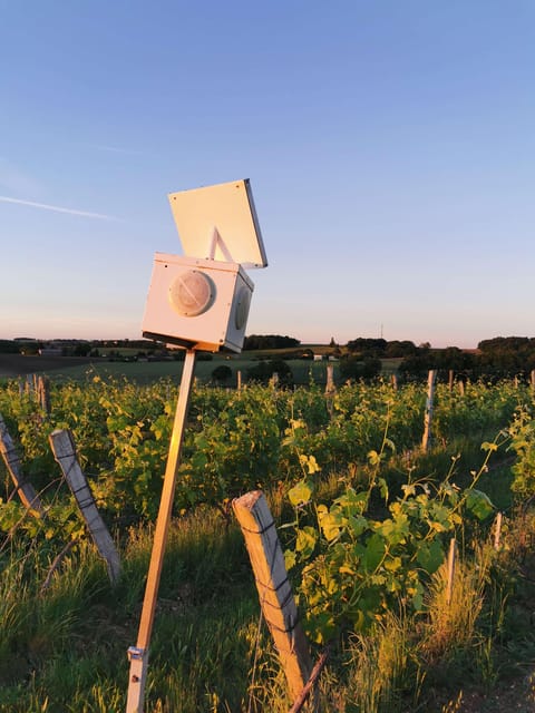 Château Arton: The Secrets of Haut-Armagnac Experience - Frequently Asked Questions