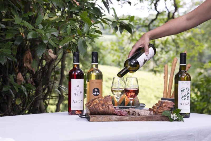 Château Arton Vineyard Tour and Tasting - Key Points