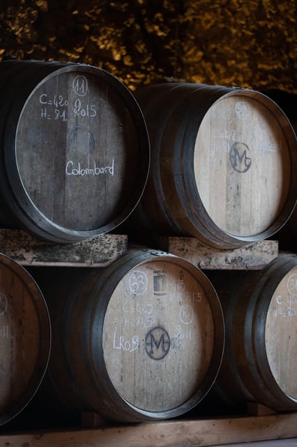 Château Arton Vineyard Tour and Tasting - Tasting Experience
