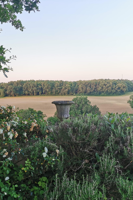 Château Arton: VISIT AND WINE TASTING - Experience Highlights