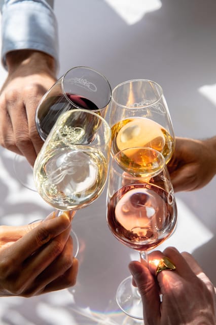 Château Arton: VISIT AND WINE TASTING - Vineyard and Wine Details