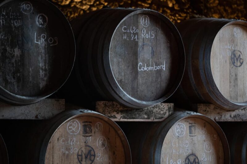 Château Arton: VISIT AND WINE TASTING - Armagnac Insights