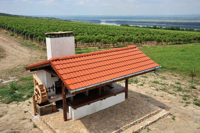 Chateau Burgozone Wine Tasting and Enchanting Danube River View - Whats Included