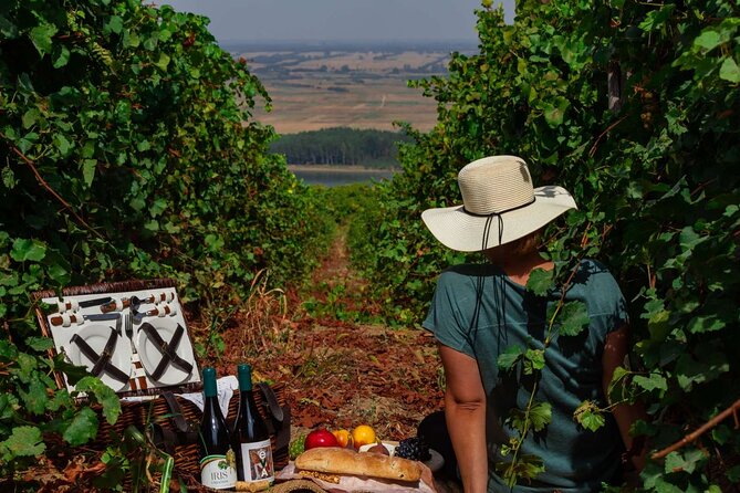 Chateau Burgozone Wine Tasting and Enchanting Danube River View - Scenic Views and Wine Tasting