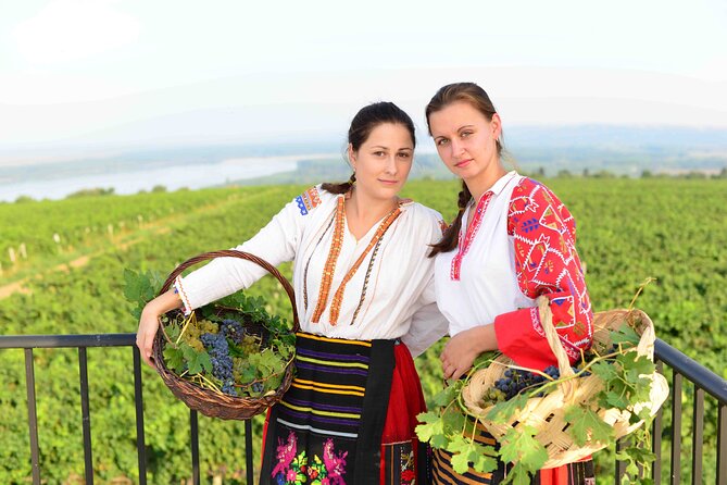 Chateau Burgozone Wine Tasting and Enchanting Danube River View - Engaging Atmosphere for Enthusiasts