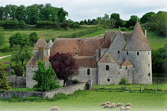 Château De Buranlure 1000 Years of History Heritage and Oenology - Visitor Activities