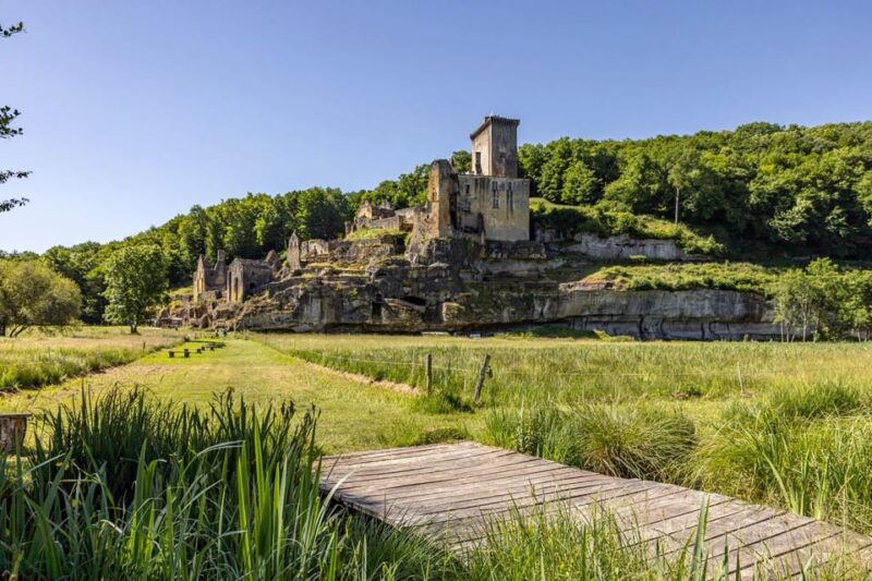 Château De Commarque: the Mystery of the Forgotten Fortress - Guided Tours and Immersive Experiences