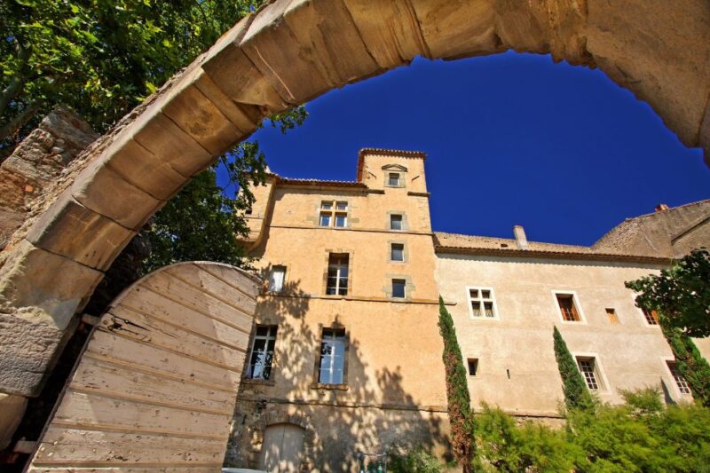Château De Luc: Unique Visit and Wine Tasting - Insights Into Sustainable Vineyard Management