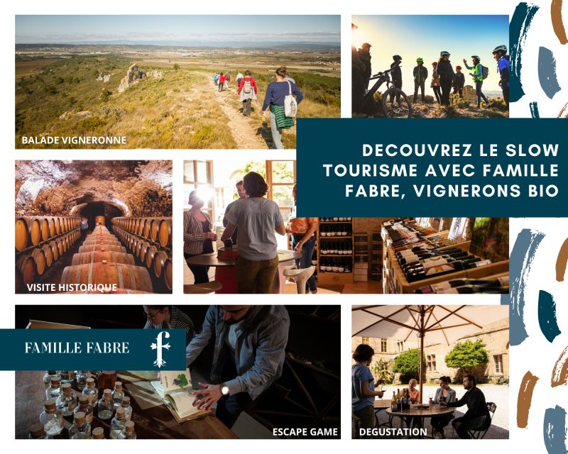 Château De Luc: Unique Visit and Wine Tasting - The Golden Age of the 19th Century and the 1907 Revolt