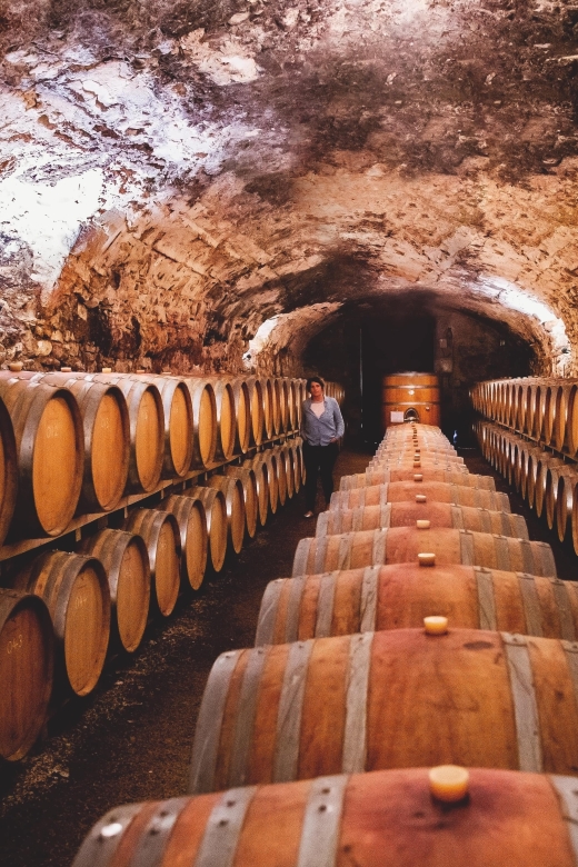 Château De Luc: Unusual Tour and Tasting - Tour Description
