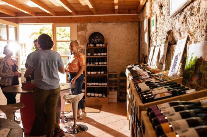 Château De Luc: Unusual Tour and Tasting - Customer Reviews