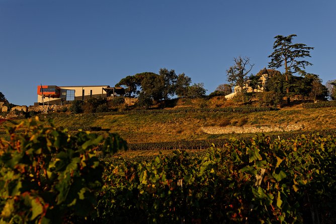 Château LA CROIZILLE Grand Cru Classé: Visit & Tasting - Tasting Experience Offered