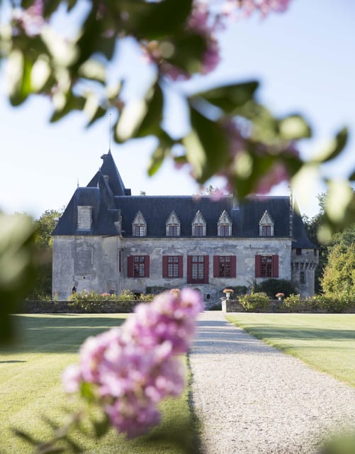 Château Olivier: One Hour Vineyard Tour With Wine Tasting - Key Points