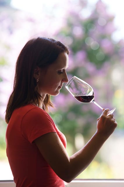 Château Olivier: One Hour Vineyard Tour With Wine Tasting - Exploring the Château and Its Grounds