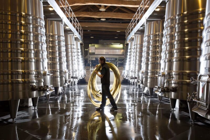 Château Olivier: One Hour Vineyard Tour With Wine Tasting - Delving Into the Grape Varieties