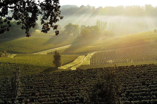 Château TOUR Baladoz: Right Bank Vs Left Bank Tasting - 6 Wines - Bordeaux Wine Region