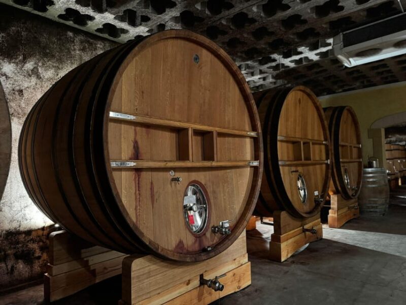 Châteauneuf-Du-Pape: Full-Day Wine Tour With Sommelier - Important Information