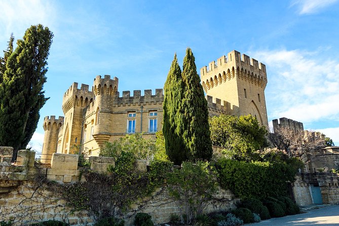 Châteauneuf Du Pape Intensive Vineyard & Fine Wine Experience - Accessibility and Additional Information