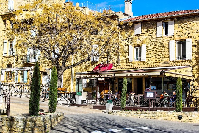Châteauneuf Du Pape Intensive Vineyard & Fine Wine Experience - Exceptional Wines and Tastings
