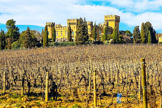 Châteauneuf Du Pape Intensive Vineyard & Fine Wine Experience - Renowned Winemaking Region