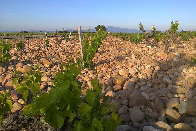 Chateauneuf-Du-Pape Prestige Wine Tour From Avignon - Meeting and Pickup Location