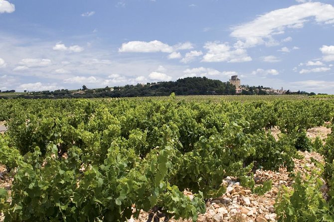 Chateauneuf-Du-Pape Prestige Wine Tour From Avignon - Exploring Chateauneuf-du-Pape Appellation