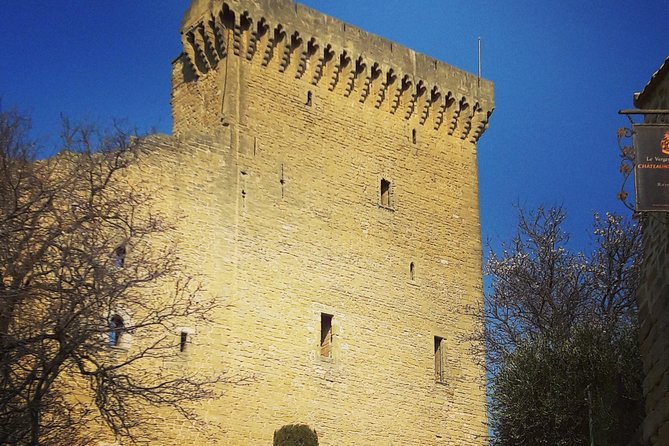 Chateauneuf-Du-Pape Prestige Wine Tour From Avignon - Learning About AOC Wine Classifications