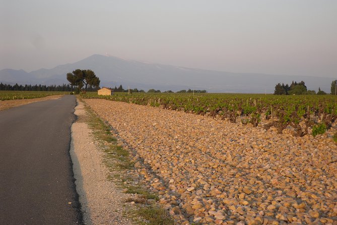 Chateauneuf-Du-Pape Prestige Wine Tour From Avignon - Visiting a Chateauneuf-du-Pape Wine Estate