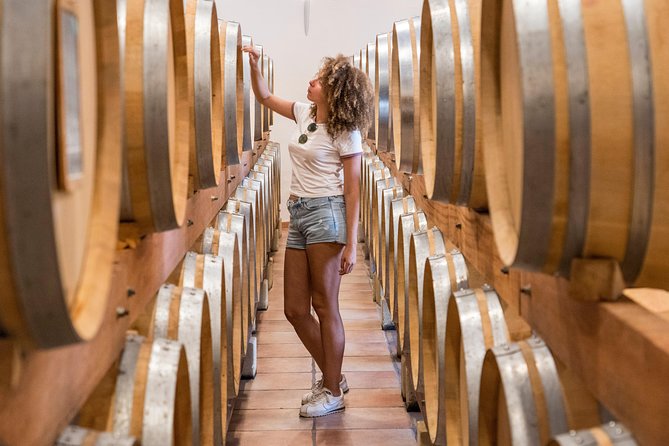 Chateauneuf-Du-Pape Prestige Wine Tour From Avignon - Sampling the World-Famous Wines