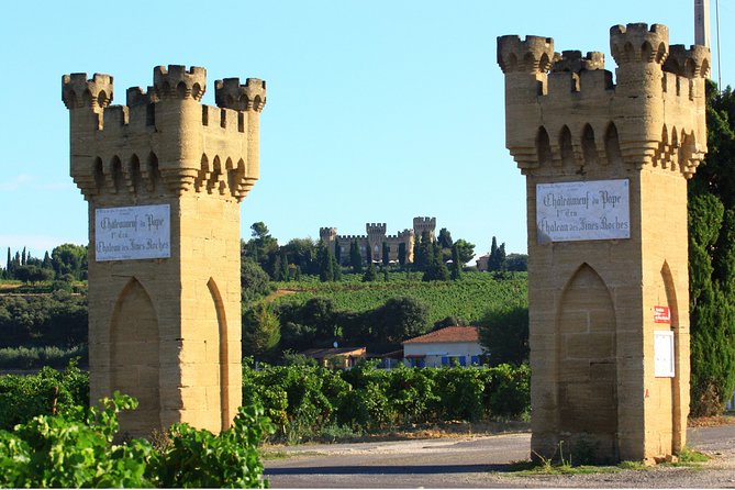 Châteauneuf Du Pape Wine Day Tasting Tour Including Lunch From Avignon - Physical Requirements
